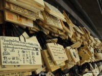 /album/fotogaleria/la-voz-que-espera-llegar-mas-alla-derechos-reservados-jpg1/